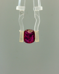 Pink Sapphire (Khooni Neelam)  – 2.70 Carat Certified