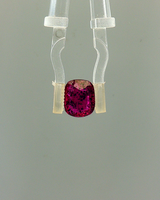 Pink Sapphire (Khooni Neelam)  – 2.70 Carat Certified