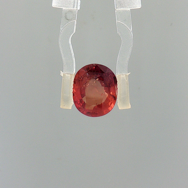 Pink Sapphire (Khooni Neelam)  – 3.01 Carat Certified