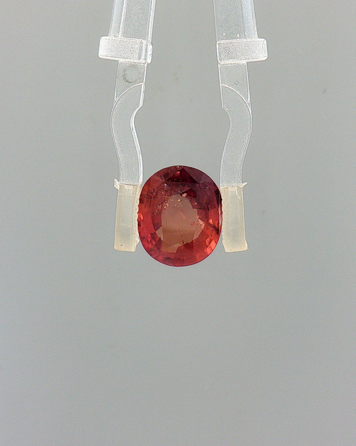 Pink Sapphire (Khooni Neelam)  – 3.01 Carat Certified