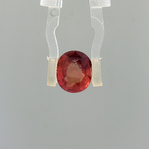 Pink Sapphire (Khooni Neelam)  – 3.01 Carat Certified