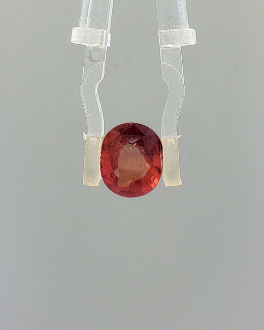 Pink Sapphire (Khooni Neelam)  – 3.01 Carat Certified