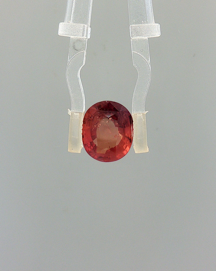 Pink Sapphire (Khooni Neelam)  – 3.01 Carat Certified