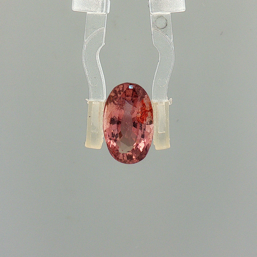 Pink Sapphire (Khooni Neelam)  – 3.71 Carat Certified