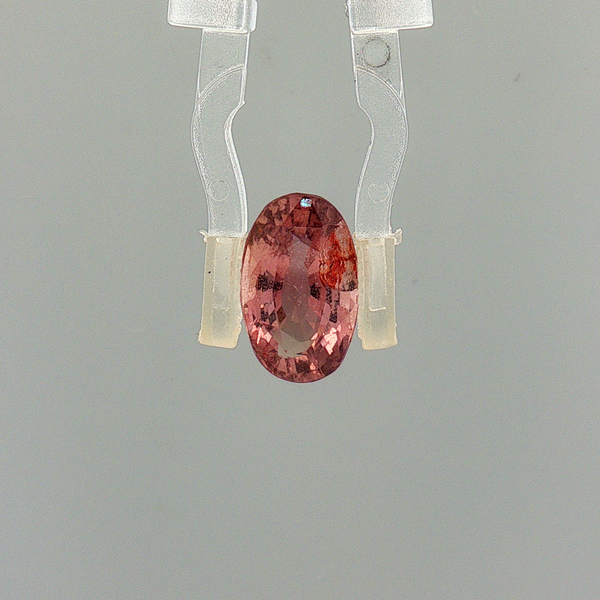 Pink Sapphire (Khooni Neelam)  – 3.71 Carat Certified