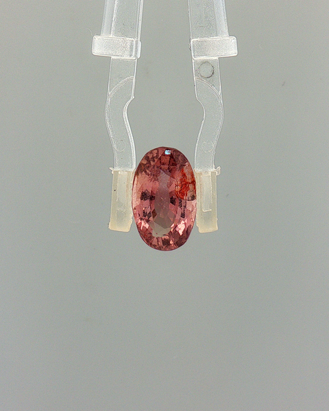 Pink Sapphire (Khooni Neelam)  – 3.71 Carat Certified