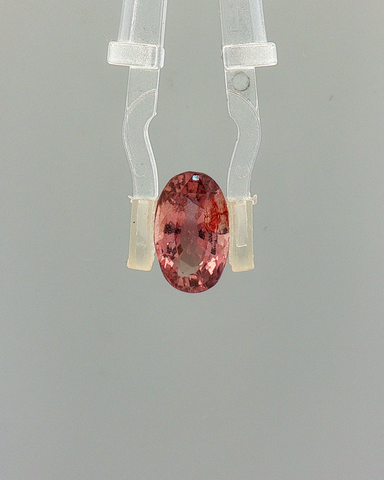 Pink Sapphire (Khooni Neelam)  – 3.71 Carat Certified