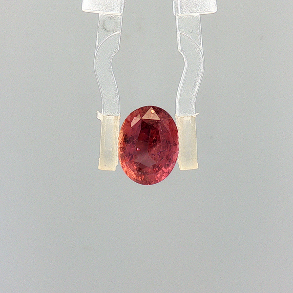 Pink Sapphire (Khooni Neelam)  – 3.07 Carat Certified