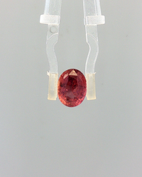 Pink Sapphire (Khooni Neelam)  – 3.07 Carat Certified