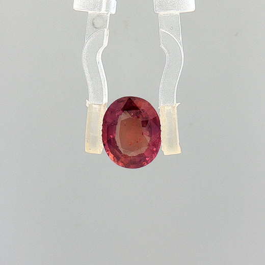 Pink Sapphire (Khooni Neelam)  – 3.01 Carat Certified