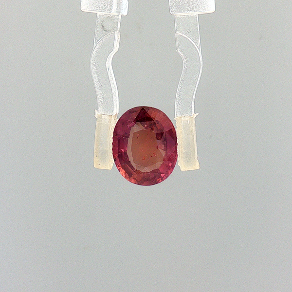 Pink Sapphire (Khooni Neelam)  – 3.01 Carat Certified