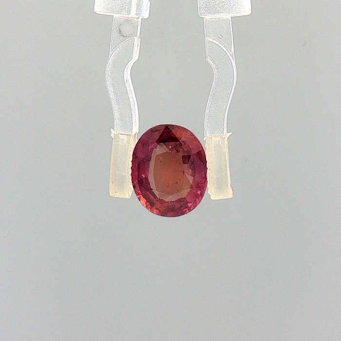 Pink Sapphire (Khooni Neelam)  – 3.01 Carat Certified