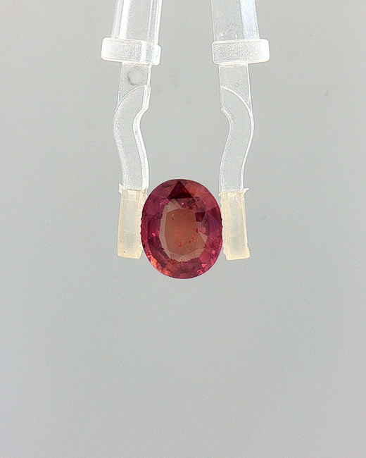 Pink Sapphire (Khooni Neelam)  – 3.01 Carat Certified