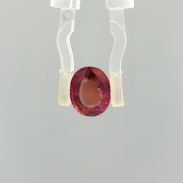 Pink Sapphire (Khooni Neelam)  – 3.01 Carat Certified