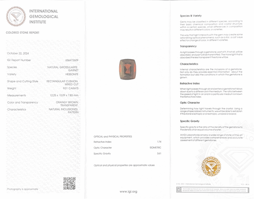 Hessonite (Gomed) - 9.01 Carat (Ceylon) (IGI Certified)