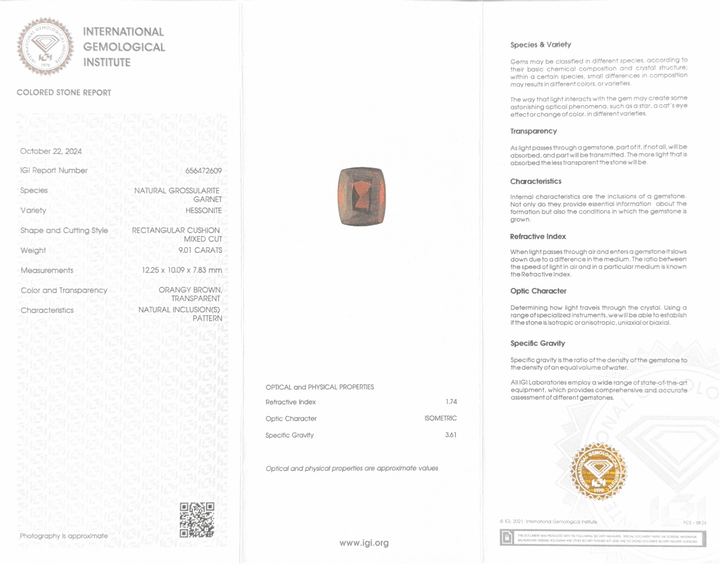 Hessonite (Gomed) - 9.01 Carat (Ceylon) (IGI Certified)