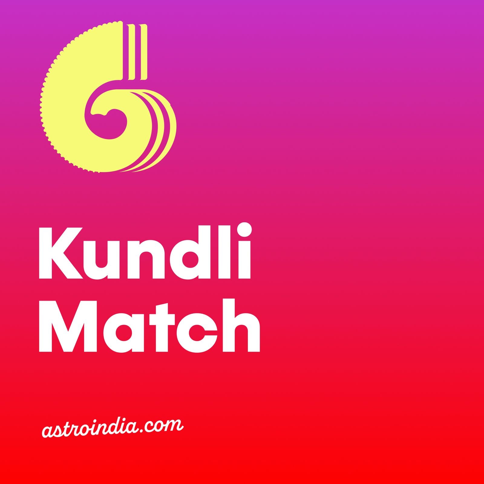 AstroIndia Premium Kundali Matching / Kundli Milan Chart (Software Generated)