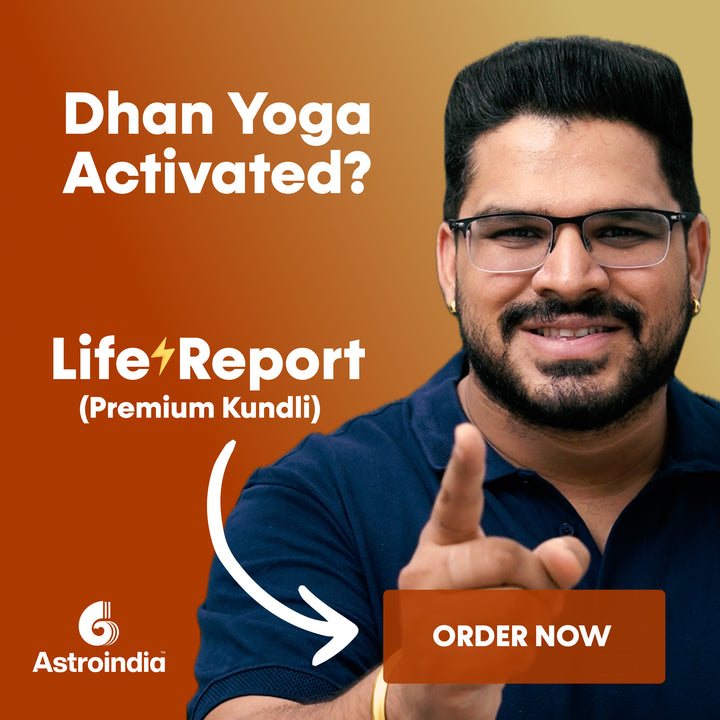 Astroindia.com Premium Kundali / Life Report 450+ Pages