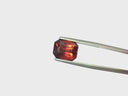 Hessonite (Gomed) - 6.93 Carat