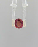 Pink Sapphire (Khooni Neelam)  – 3.01 Carat Certified