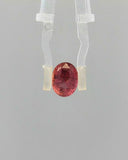 Pink Sapphire (Khooni Neelam)  – 3.07 Carat Certified