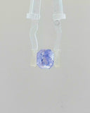 Blue Sapphire - 3.10 Carat