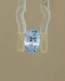 Blue Sapphire - 2.15 Carat